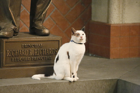 dwab821