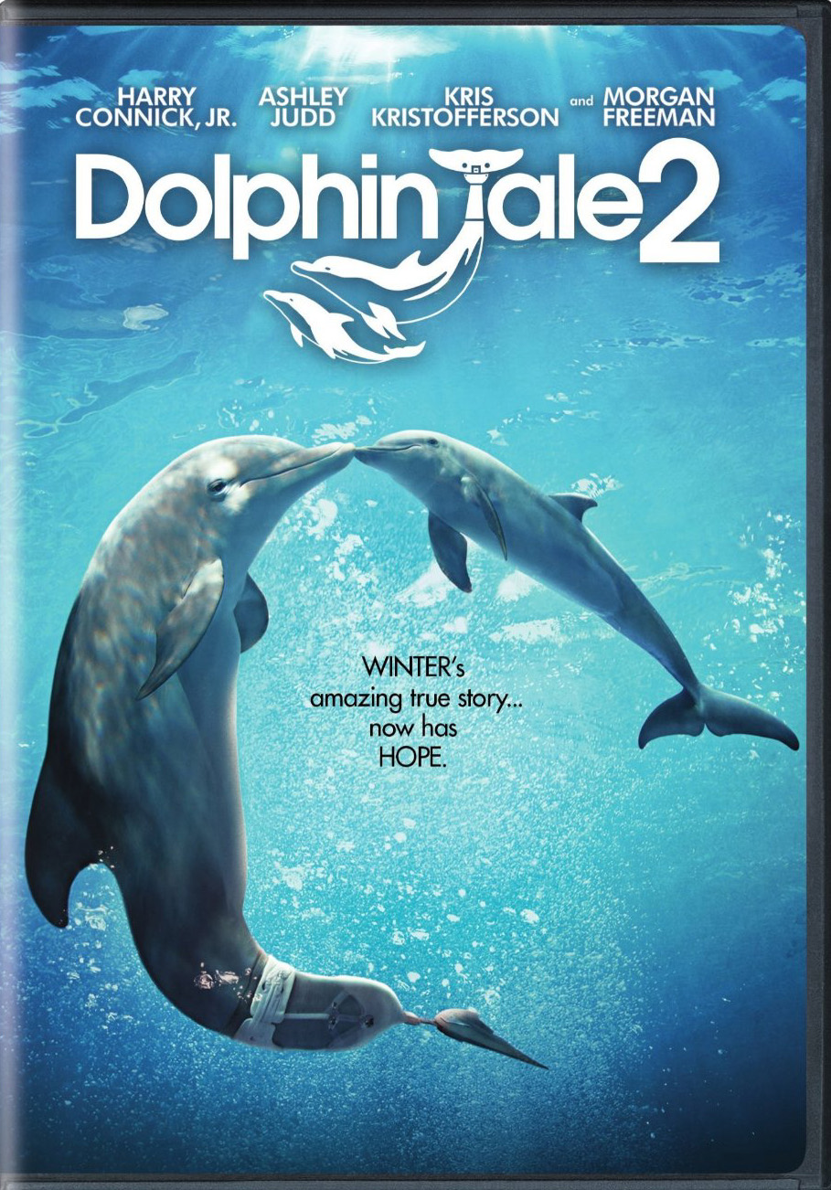 Dolphin Tale 2