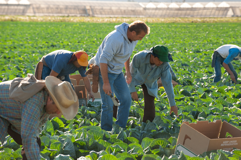 McFarland, USA