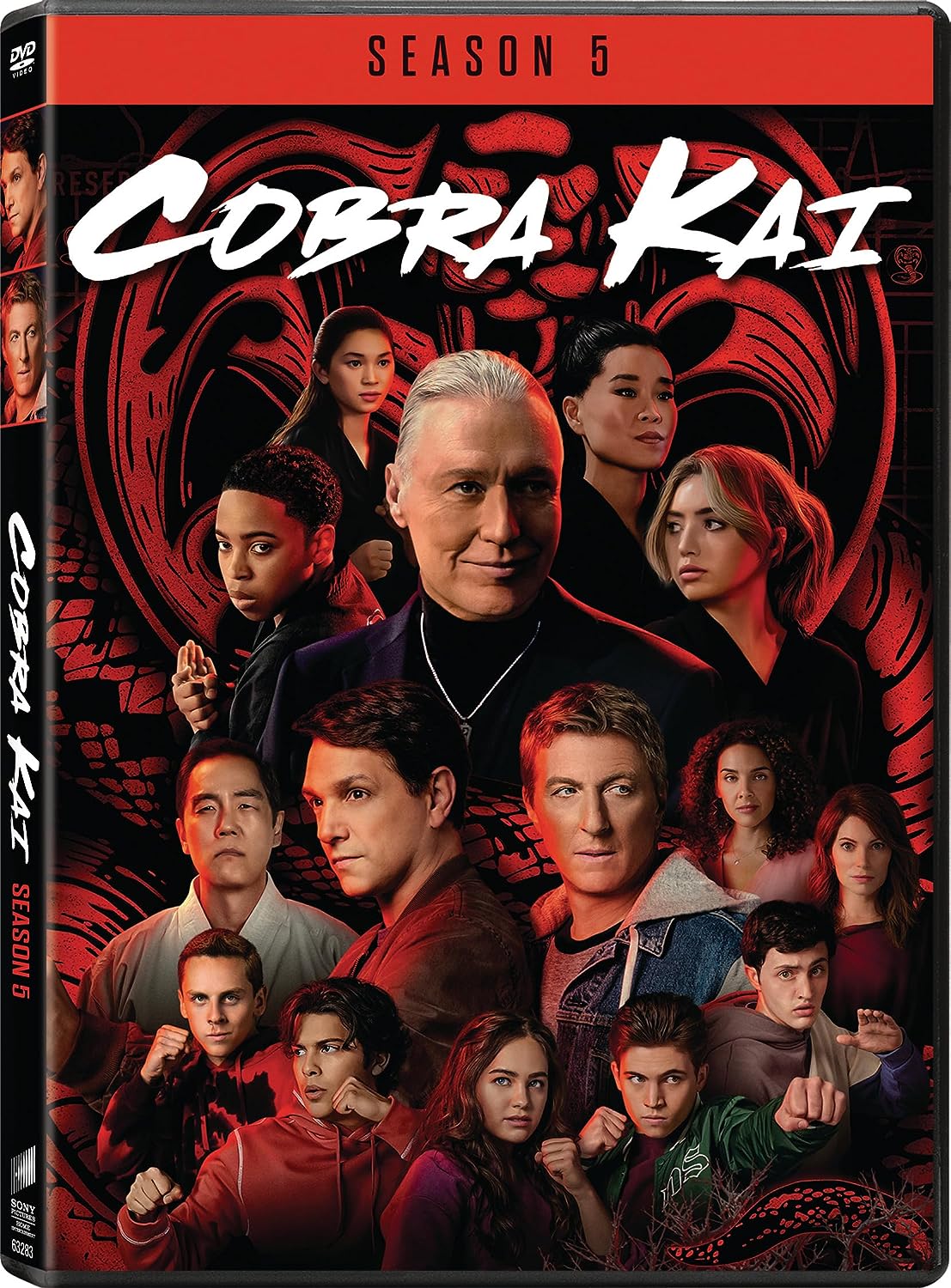 Cobra Kai: Season 5