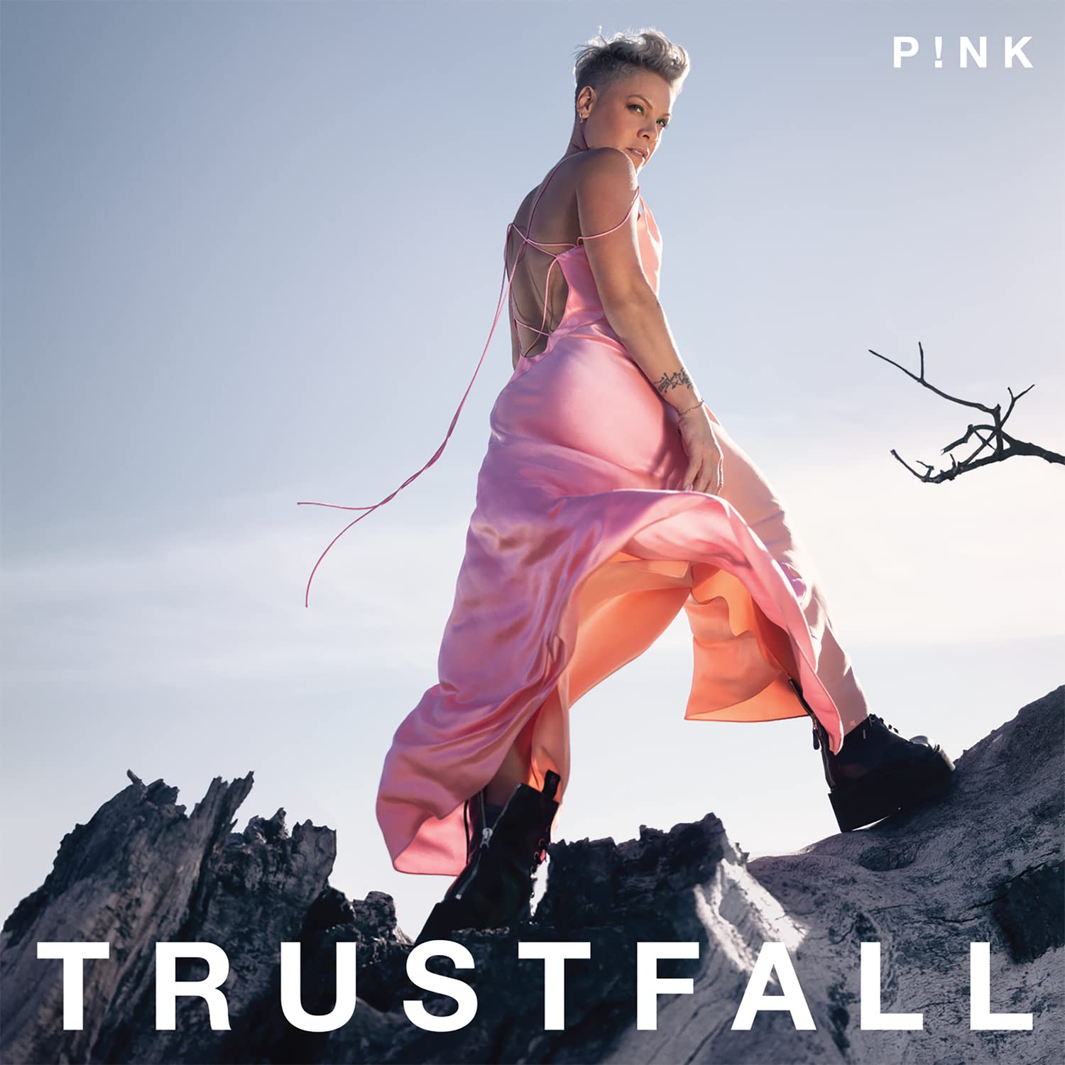 Pink: Trustfall