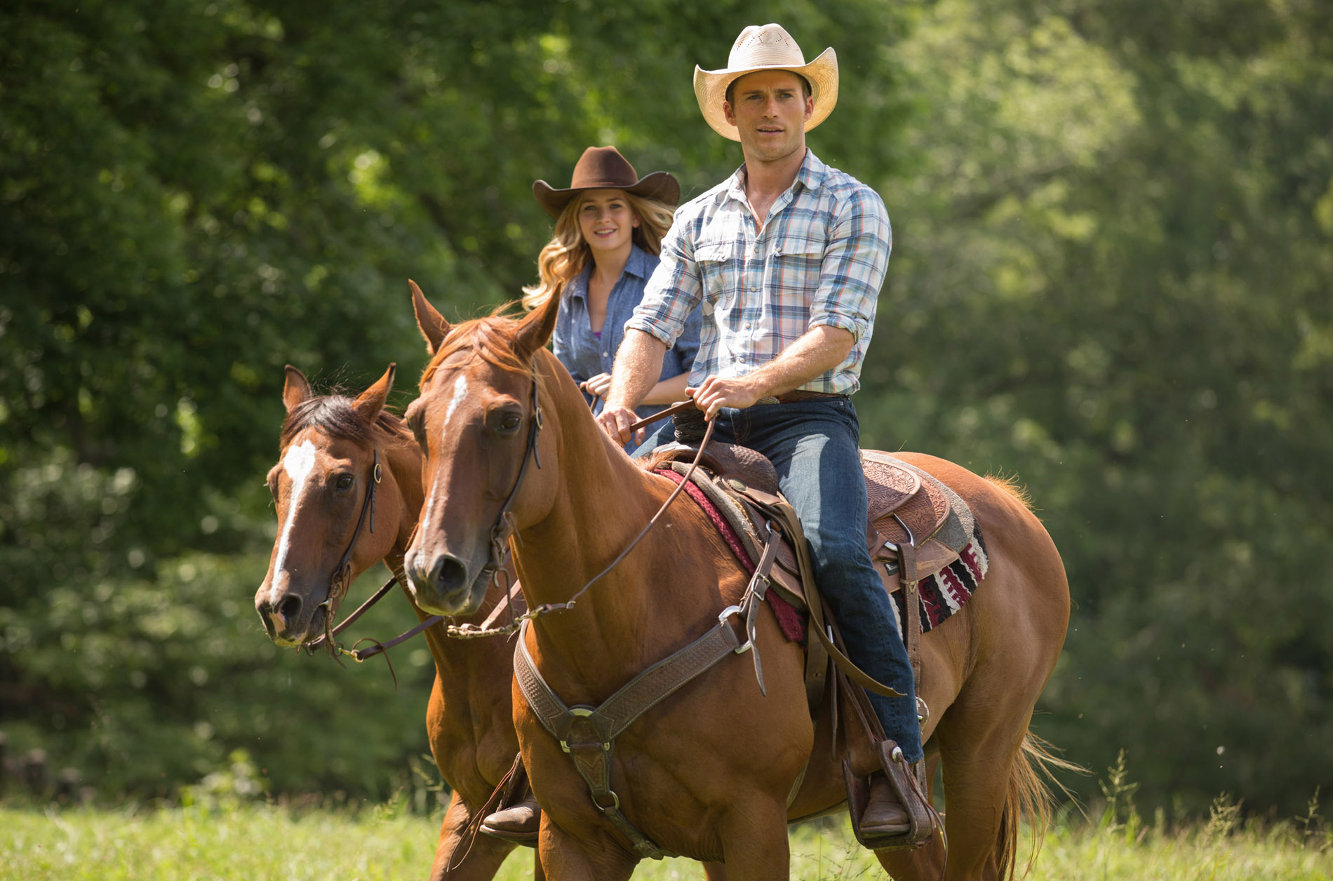 The Longest Ride