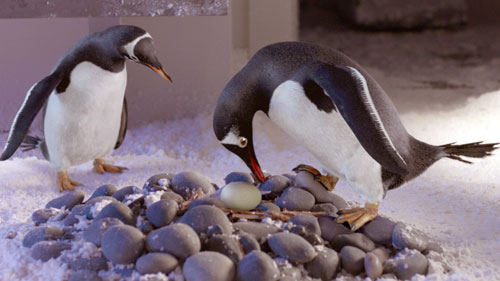 Mr Popper's Penguins 