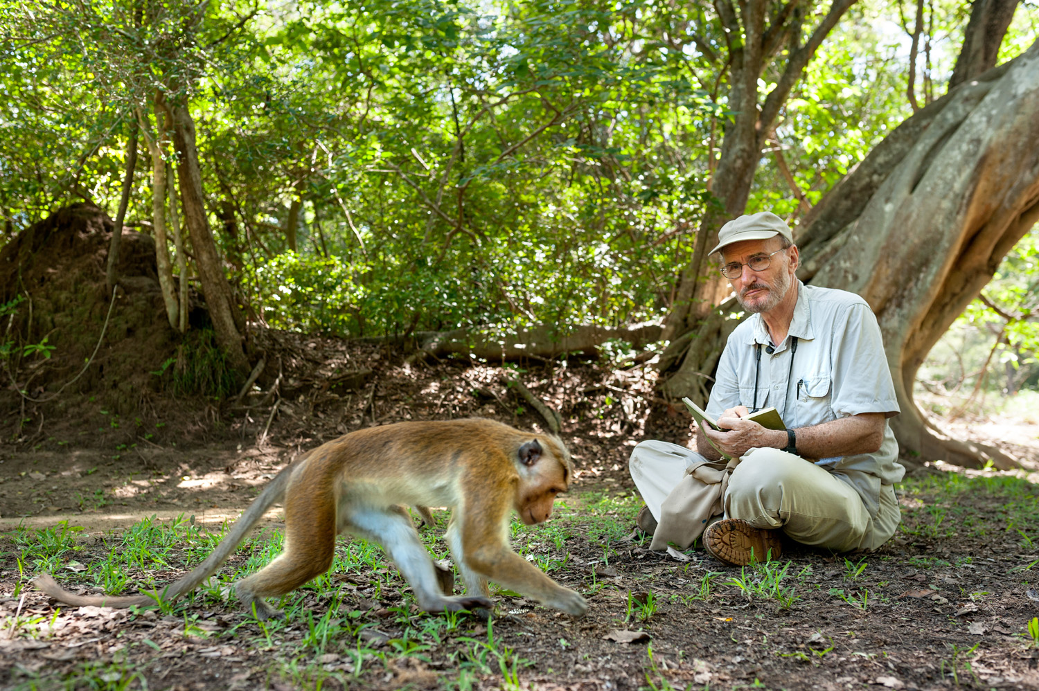 Monkey Kingdom