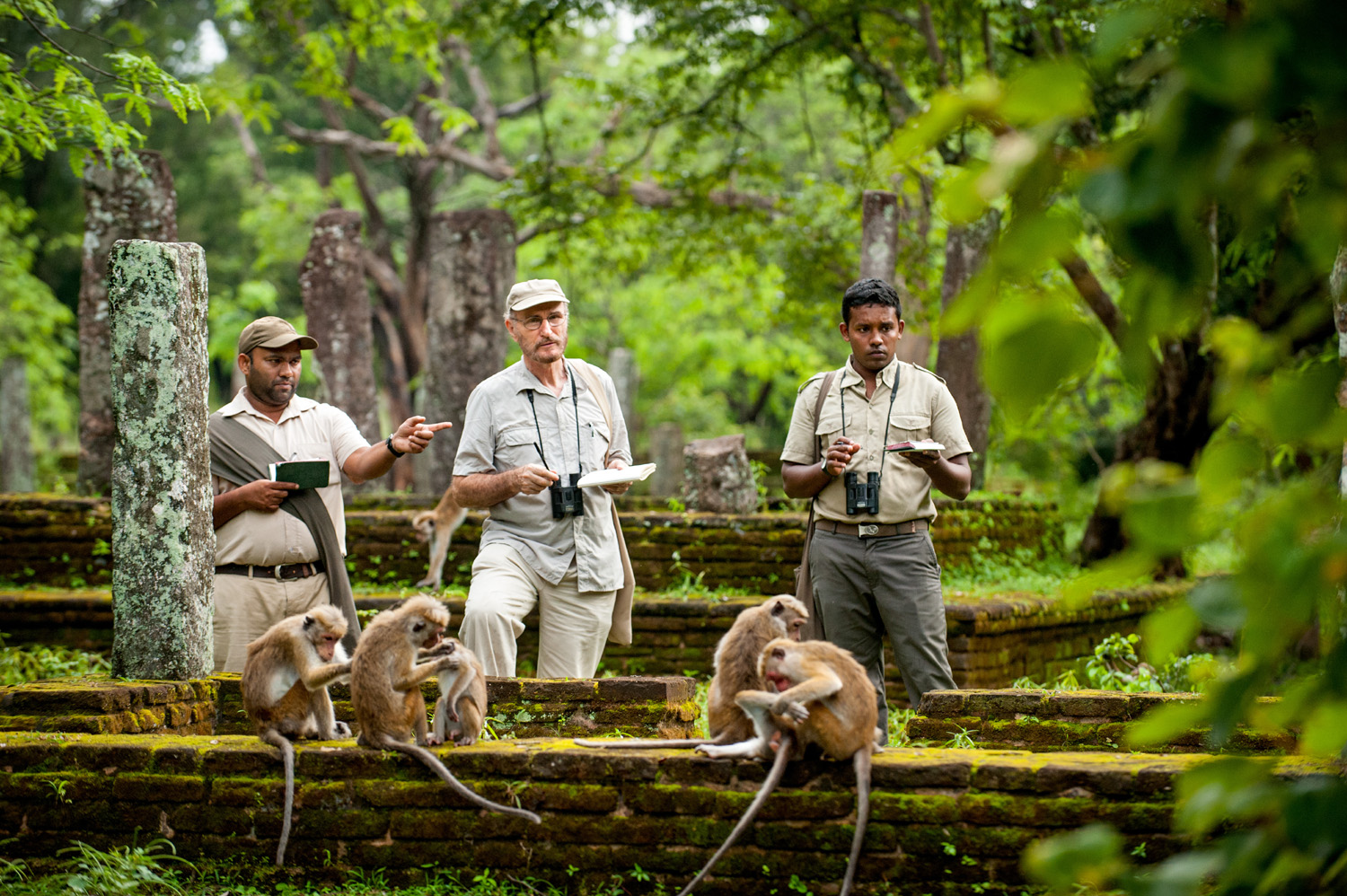 Monkey Kingdom