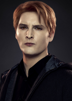 The Twilight Saga: Breaking Dawn Part 2